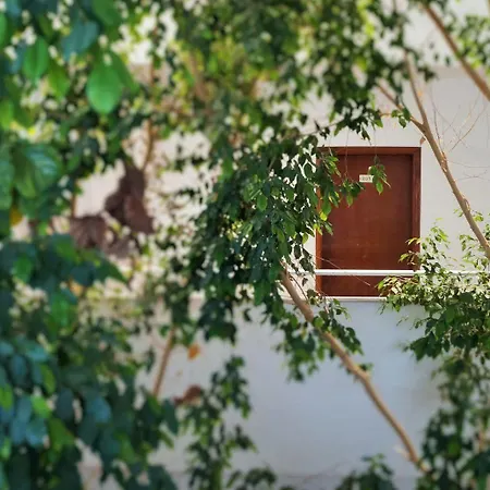 Kris Mari Hotel Kardamena (Kos)